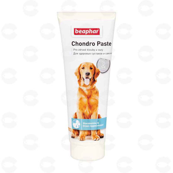 Picture of «Chondro Paste» մածուկ շների համար