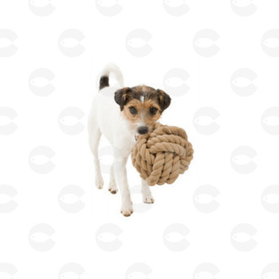Picture of Խաղալիք շների՝ BE NORDIC, պարանից գնդակ