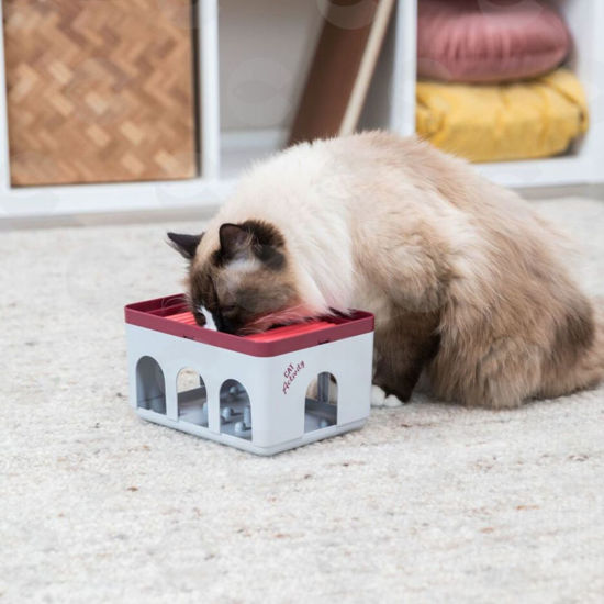Picture of Խաղալիք կատուների համար՝ Cat Activity Rod Box