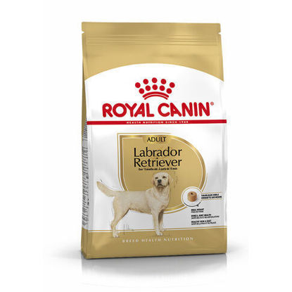 Picture of Royal Canin LABRADOR RETRIEVER Adult 12 կգ.