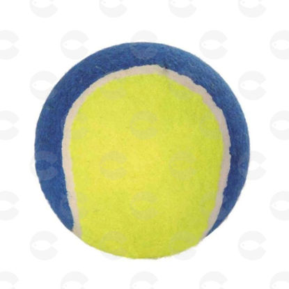 Picture of Թենիսի գնդակ (10 սմ)