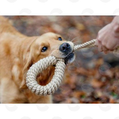 Picture of Խաղալիք շների համար՝ պարան բռնակով
