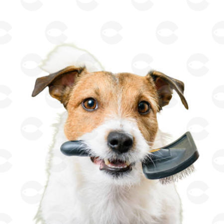 Picture for category Սանր / ֆուրմինատոր