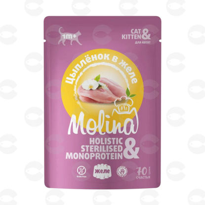 Picture of MOLINA Holistic – թաց կեր հավի մսով ժելեում կատվիկների համար, 70 գ