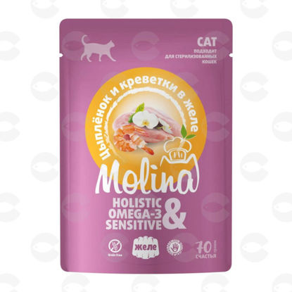 Picture of MOLINA Holistic – թաց կեր հավի և ծովախեցգետնի մսով ժելեում մեծահասակ կատուների համար, 70 գ