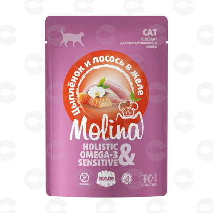 Picture of MOLINA Holistic – թաց կեր հավի և սաղմոնի մսով ժելեում մեծահասակ կատուների համար, 70 գ