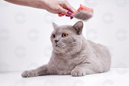 Picture for category Մաշկի, մազերի համար