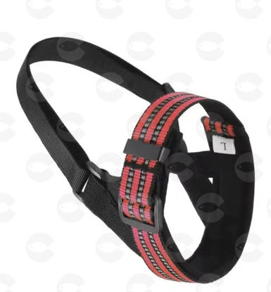 Picture of Շների դնչկալ ZT0001  (L)