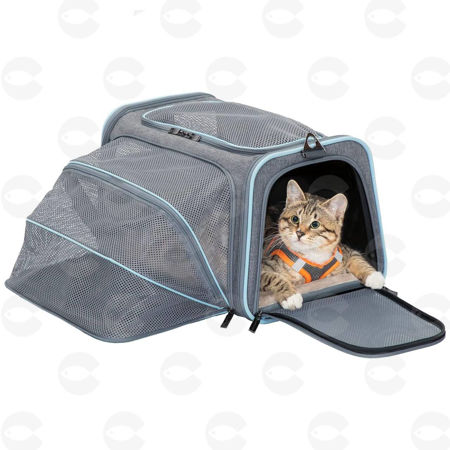 Picture for category Պայուսակներ