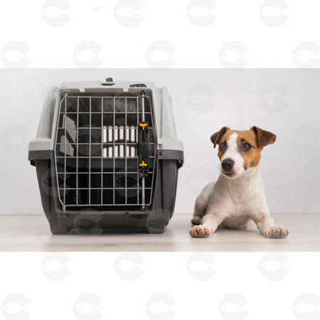 Picture for category Փոխադրման Խցիկներ