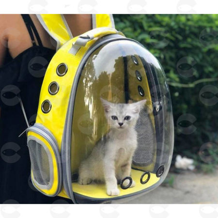 Picture for category Փոխադրման Խցիկներ