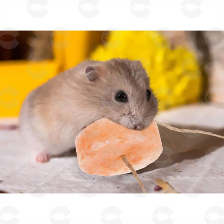 Picture for category Միներալներ, կավիճներ