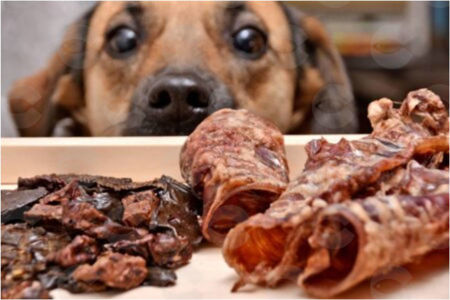 Picture for category Ջրազրկված, բնական սնեյքեր