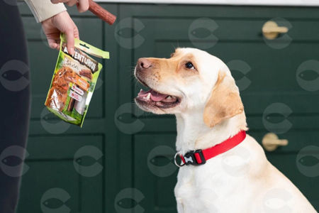 Picture for category Սնեյքեր