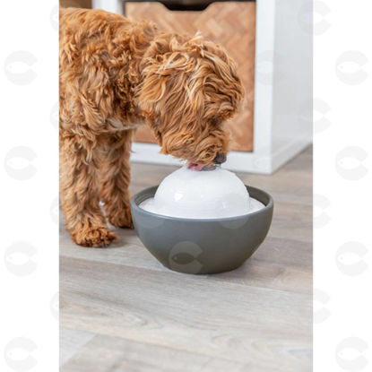 Picture of Ջրաման ավտոմատացված՝ կերամիկական՝ Vital Dome,1.5լ, մոխրագույն/սպիտակ