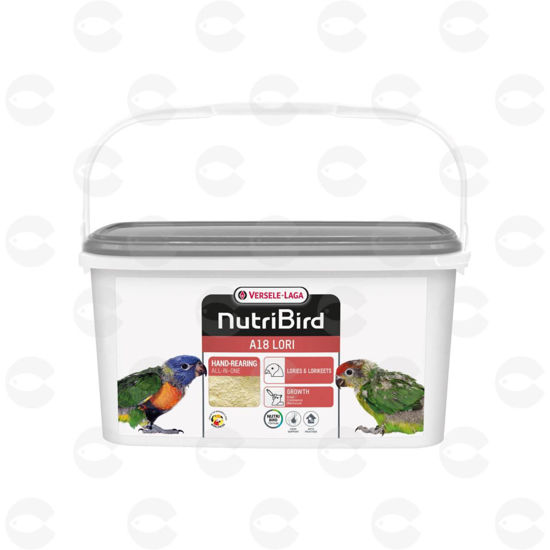 Picture of Կեր լորիի ձագերի համար՝ A18, փոշու տեսքով, 3 կգ