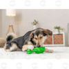 Picture of Խաղալիք շների կոկորդիլոս, լցվում է խորտիկներով / բնական ռետին, 18 սմ, կանաչ
