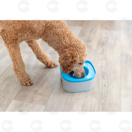 Picture of Ջրաման ճանապարհային, կապույտ/մոխրագույն 1.1լ/21*11*21սմ