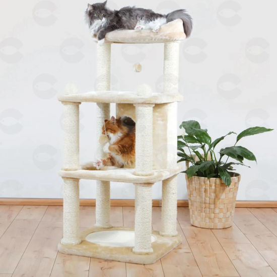 Picture of Կատուների տնակ/ ճանկելու տախտակ՝ Belinda, 140 սմ, 59*59 սմ բեժ