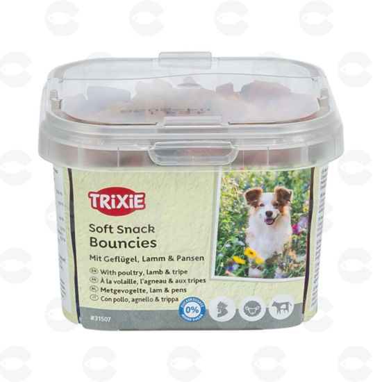 Picture of «Bouncies» ստիկս գունավոր ոսկորներ շների