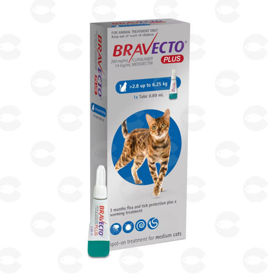 Picture of Bravecto PLUS Cat 2.8–6.25 կգ