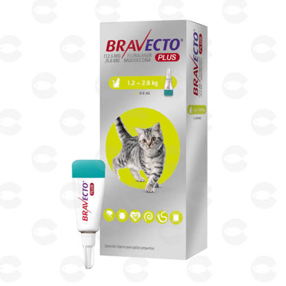 Picture of Bravecto PLUS Spot-On Small Cat 1.2–2.8 կգ