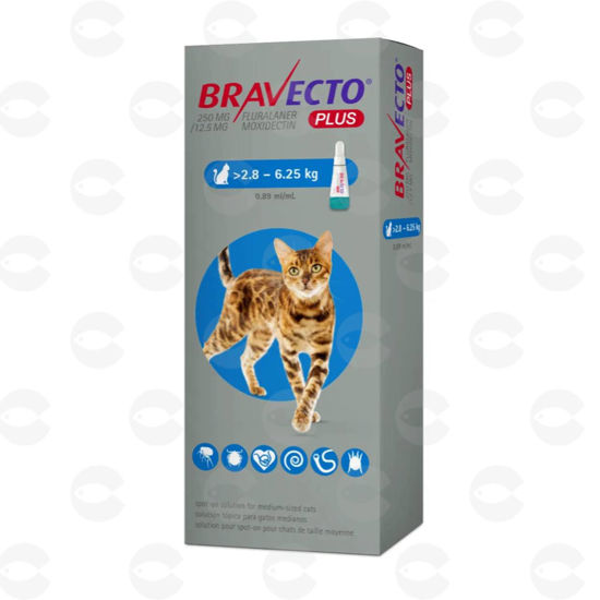 Picture of Bravecto PLUS Cat 2.8–6.25 kg
