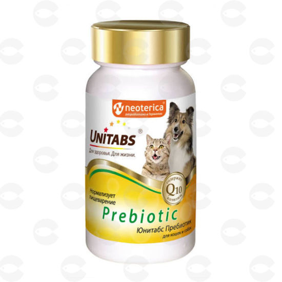 Picture of Կերային հավելում Prebiotic Q10 100 հատ